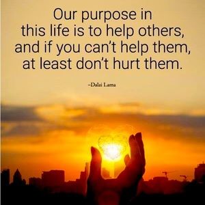 Meet your Posher, Julie